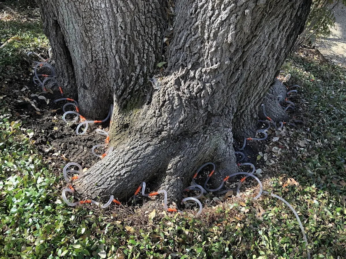 Detailed Shrub and Hedge Trimming job site in Owasso