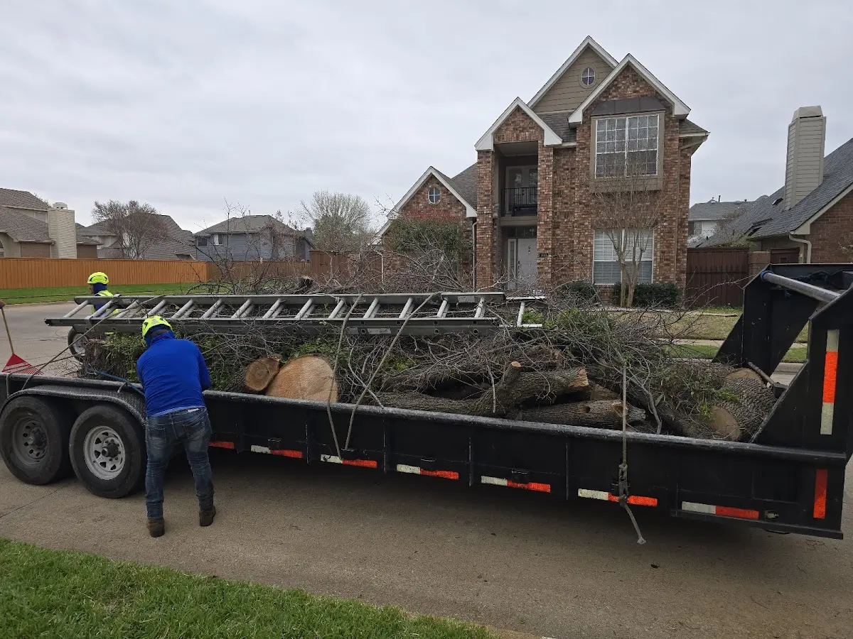 Expert Tree Removal with proper safety equipment in Owasso